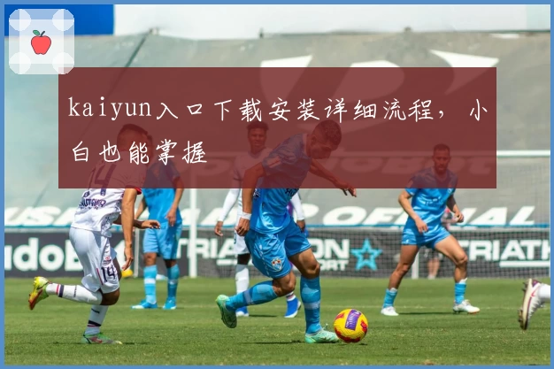 kaiyun入口下载安装详细流程，小白也能掌握