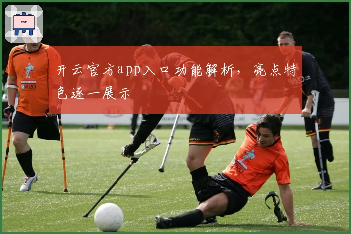 开云官方app入口功能解析，亮点特色逐一展示