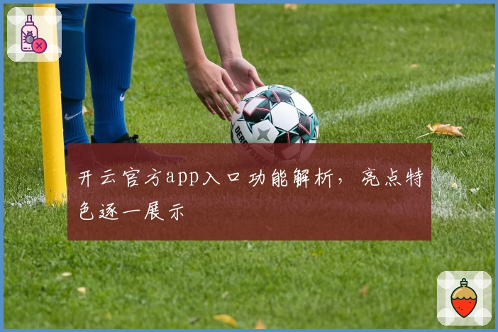 开云官方app入口功能解析，亮点特色逐一展示